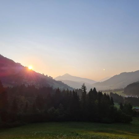 5 Pers. Ferienwohnung mit Traum Aussicht Wildschoenau Exterior foto